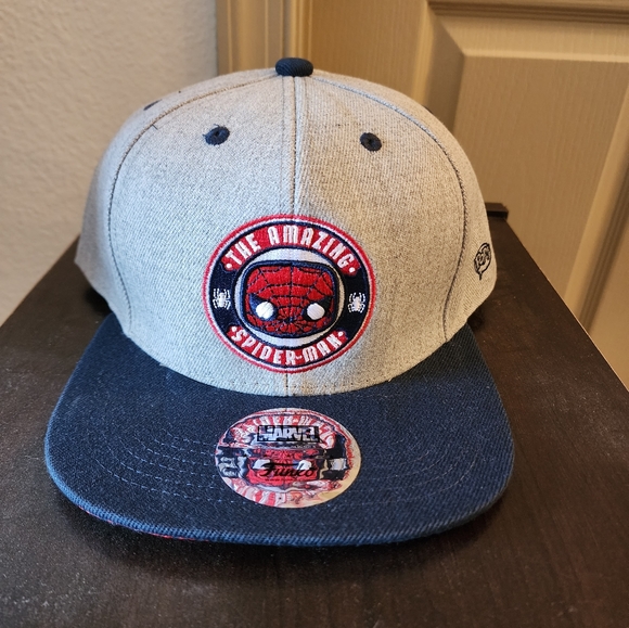 Amazing Spider-Man Gray & Blue Baseball Hat from Funko Marvel Collector Corps - Picture 1 of 4